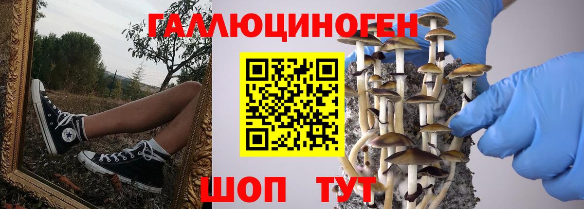 Галлюциногенные грибы мицелий Дальнегорск