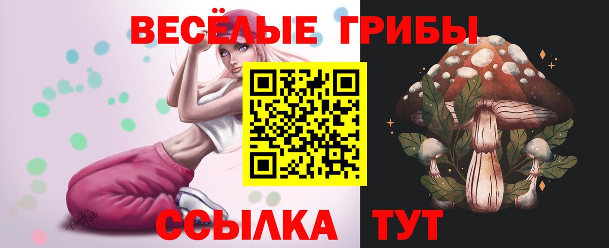 Дальнегорск  Псилоцибиновые грибы Psilocybe  Вход с VPN 